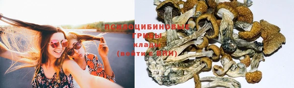 apvp Баксан