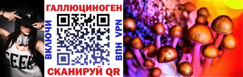 купить наркотик  Сельцо  Псилоцибиновые грибы Psilocybe 